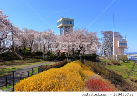 古雷托塔港展望台 | 青森郡八戶市立花公園櫻花盛開,春日美景盡收眼底 古雷托塔港展望台 | 青森郡八戶市立花公園櫻花盛開,春日美景盡收眼底 139433752