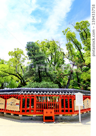 [Fukuoka] Early summer in Fukuoka: The sacred pine tree of Hakozaki Shrine 139433758