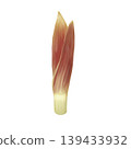 Watercolor-style Japanese ginger 139433932