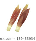 Two watercolor-style myoga ginger plants 139433934