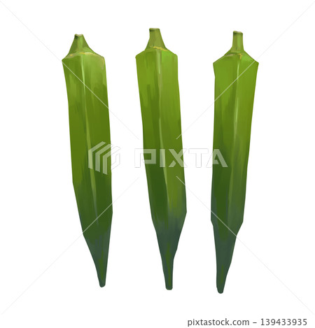 三根秋葵,水彩風格 三根秋葵,水彩風格 139433935