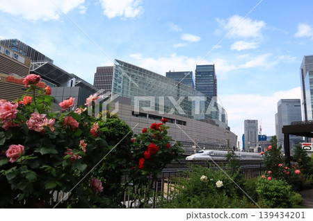 Roses and Shinkansen (bullet train) at the Transportation Hall 139434201