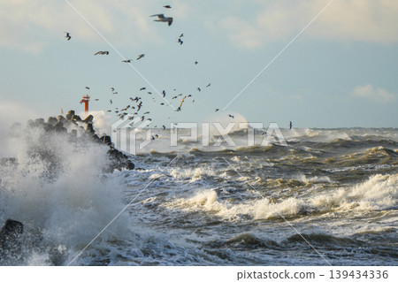 Storm waves crash over Liepaja harbor breakwater as seabirds fly above the raging Baltic Sea 139434336