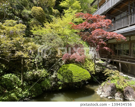 寺廟住宿，初夏的日式花園 139434556