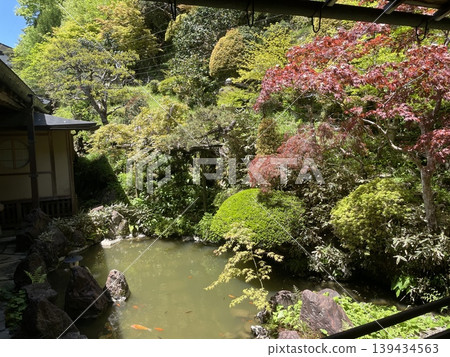 Temple lodging, Japanese garden in early summer Temple lodging, Japanese garden in early summer 139434563