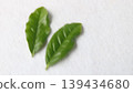 新鮮茶葉 139434680