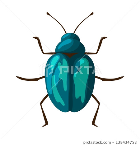 Teal Green Beetle Top View Illustration Clipart 139434758