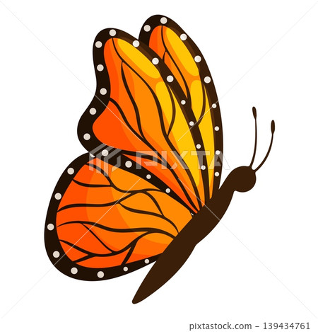 Orange Monarch Butterfly Side View Illustration 139434761