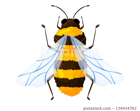 Yellow Honey Bee Top View Illustration Clipart 139434762