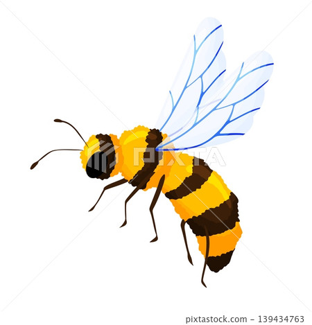 Yellow Honey Bee Side View Illustration Clipart 139434763