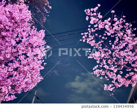 The more I gaze, the more the night melts away. When I look up at the night sky, it's already spring. The more I gaze, the more the night melts away. When I look up at the night sky, it's already spring. 139434956
