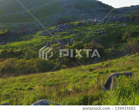 Scenery of Hiraodai in early summer Scenery of Hiraodai in early summer 139435002