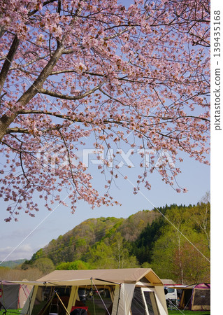 北海道北斗市湯之澤湖濱公園:櫻花與露營 北海道北斗市湯之澤湖濱公園:櫻花與露營 139435168