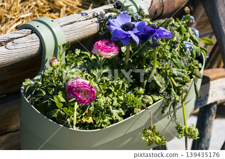 Yellow pansies with colorful bunting in a wooden planter, adding garden decor and bright seasonal accents. Yellow pansies with colorful bunting in a wooden planter, adding garden decor and bright seasonal accents. 139435176