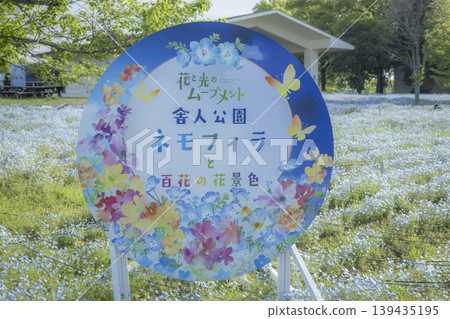 Nemophila sign at Toneri Park in Adachi Ward, Tokyo Nemophila sign at Toneri Park in Adachi Ward, Tokyo 139435195