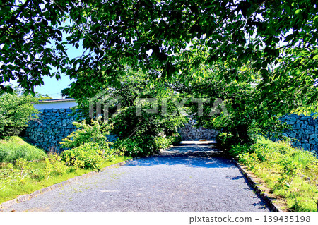 【福岡】初夏時節的福岡城遺址:下橋綠意盎然 【福岡】初夏時節的福岡城遺址:下橋綠意盎然 139435198