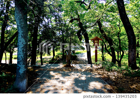 【福岡】初夏時節的福岡城遺址:通往大濠池的景色 【福岡】初夏時節的福岡城遺址:通往大濠池的景色 139435203