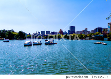 【福岡】初夏的大濠公園:池塘上漂浮天鵝船,遠處是關月橋。 【福岡】初夏的大濠公園:池塘上漂浮天鵝船,遠處是關月橋。 139435205