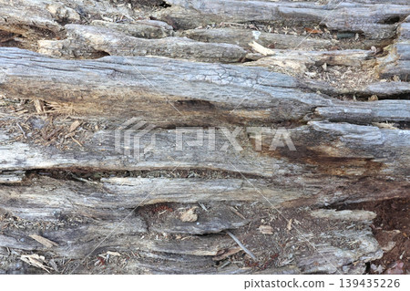 Close-up view of weathered wooden log with textured surface and natural imperfections, showcasing organic patterns and earthy tones in a forest environment Close-up view of weathered wooden log with textured surface and natural imperfections, showcasing organic patterns and earthy tones in a forest environment 139435226