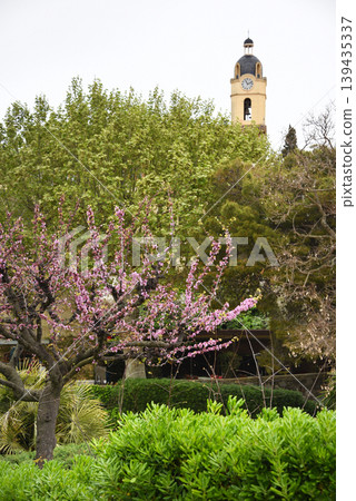 Spring blossoms in a Mediterranean town park with clock tower and historic buildings, travel and Easter vibes 139435337