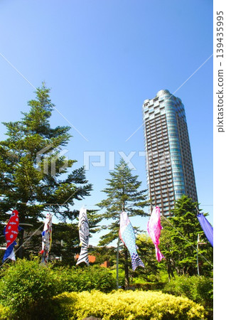 Carp streamer Carp streamer 139435995