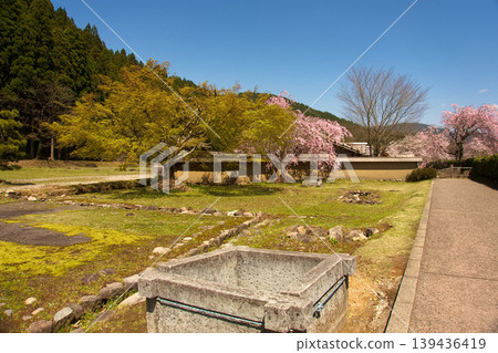 Cherry blossoms blooming in the restored townscape Cherry blossoms blooming in the restored townscape 139436419