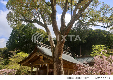 Kamado Shrine, Worship Hall (Dazaifu City, Fukuoka Prefecture) 139436625