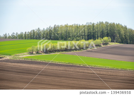 以十勝山脈為背景的風景 以十勝山脈為背景的風景 139436938