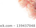 Peony - Shakuyaku (PC) 139437048
