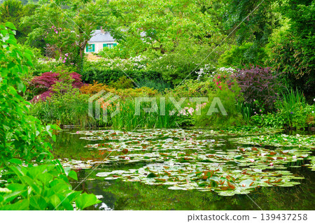 Monet's Pond Landscape 139437258