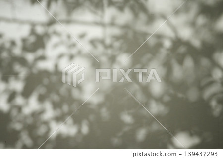 Landscape with tree shadows 139437293