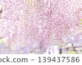 粉紅色水滴 139437586