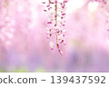 春天滴 139437592