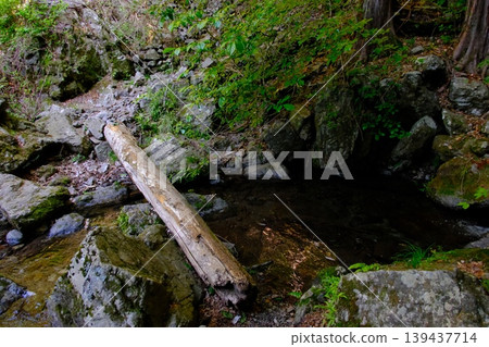 一座天然橋樑延伸至對岸,一根原木橫跨溪流,森林一片寂靜──這是一處僻靜的自然景觀。 一座天然橋樑延伸至對岸,一根原木橫跨溪流,森林一片寂靜──這是一處僻靜的自然景觀。 139437714
