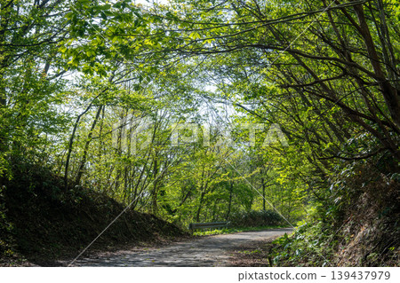 A very beautiful landscape of Mt. Sanpei in Maniwa City, Okayama Prefecture, Japan 139437979