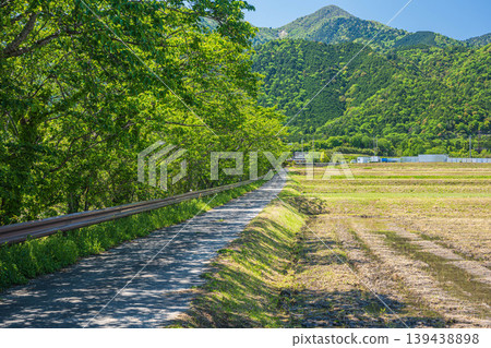 滋賀縣大津市湖西地區平的鄉村景觀 滋賀縣大津市湖西地區平的鄉村景觀 139438898