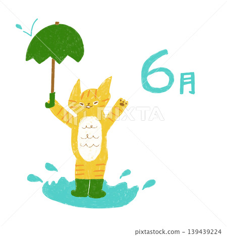 下雨天，貓咪在水坑玩耍（六月）[部落格、社群媒體、信件、插畫素材] 139439224