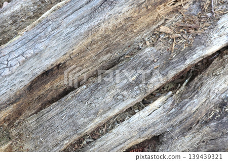 Textured Weathered Wood Close-Up for Rustic Natural Design Elements Textured Weathered Wood Close-Up for Rustic Natural Design Elements 139439321