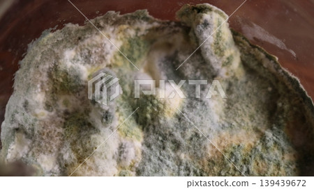 Moldy food in a can or container, blue mold on the surface of homemade food, spoiled or canned food affected by fungus and mold, close-up of microorganisms in the mold layer on food. Moldy food in a can or container, blue mold on the surface of homemade food, spoiled or canned food affected by fungus and mold, close-up of microorganisms in the mold layer on food. 139439672