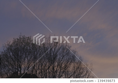 在夕陽的天空中閃閃發光 139439873