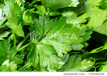 Close-up of organic flat-leaf parsley macro shot. 139440298
