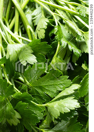 Wet garden parsley herb top view texture Wet garden parsley herb top view texture 139440299