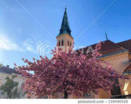 Spring blooming in the city with historic architecture in Austria. Spring blooming in the city with historic architecture in Austria. 139440326