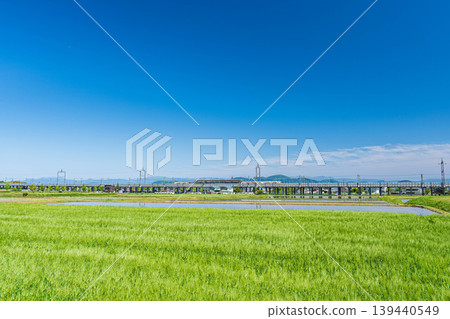 滋賀縣大津市厚生地區平的麥田 滋賀縣大津市厚生地區平的麥田 139440549