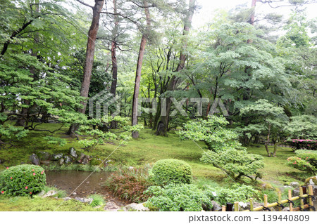 春天Kenrokuen 139440809