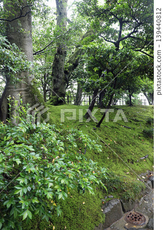 春天Kenrokuen 春天Kenrokuen 139440812