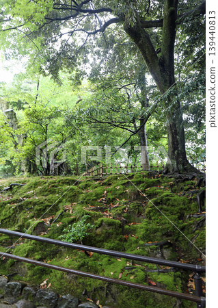 春天Kenrokuen 春天Kenrokuen 139440813