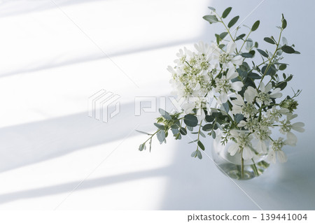 A flower arrangement of white flowers and eucalyptus bathed in the morning light. 139441004