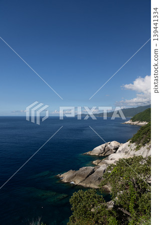 屋久島美麗的海岸線,世界自然遺產地。 屋久島美麗的海岸線,世界自然遺產地。 139441334