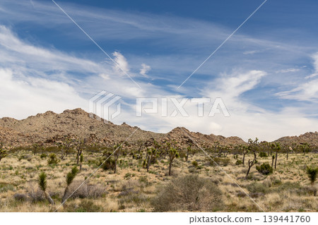 Joshua Tree National Park Joshua Tree National Park 139441760